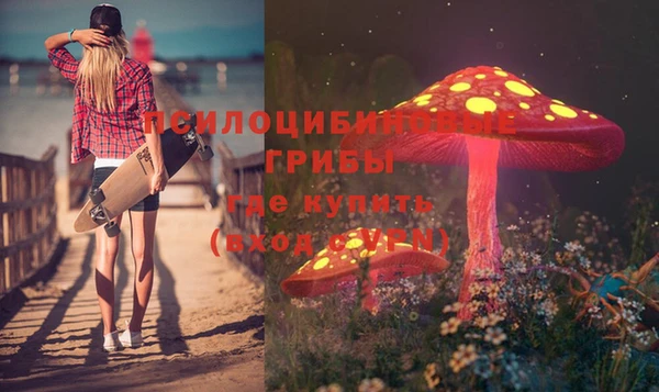 амф Белоозёрский